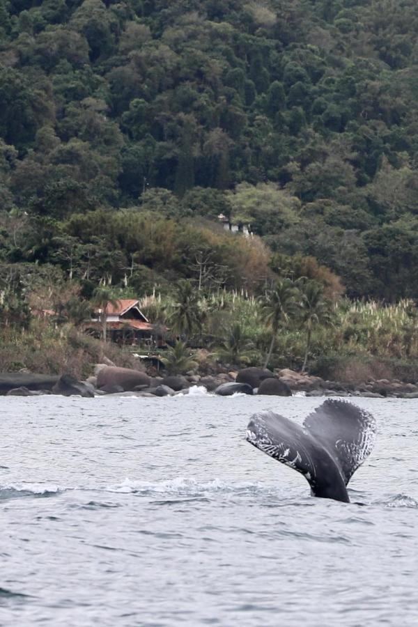 Villa Sol-Lua Bangalo Com Uso Exclusivo Da Piscina Ilhabela Exterior foto