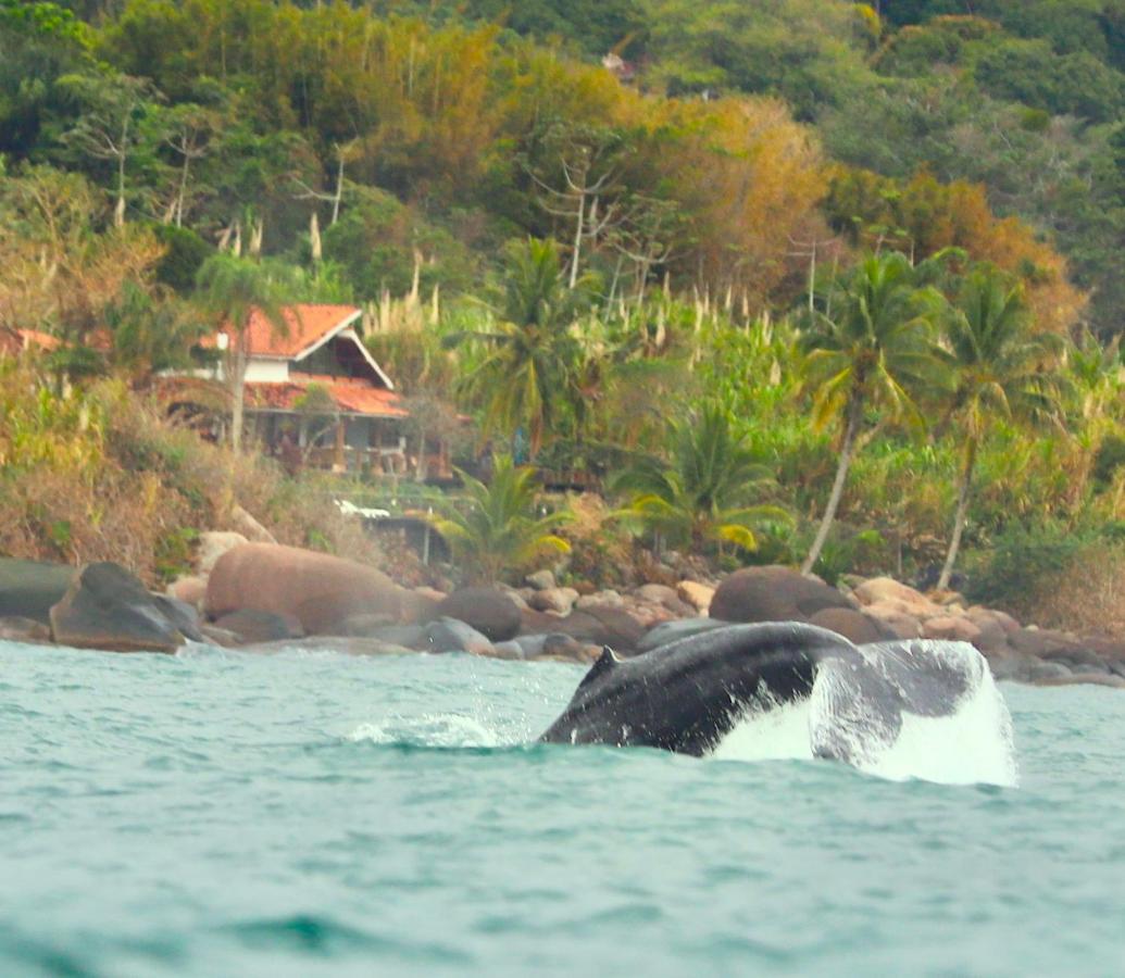 Villa Sol-Lua Bangalo Com Uso Exclusivo Da Piscina Ilhabela Exterior foto